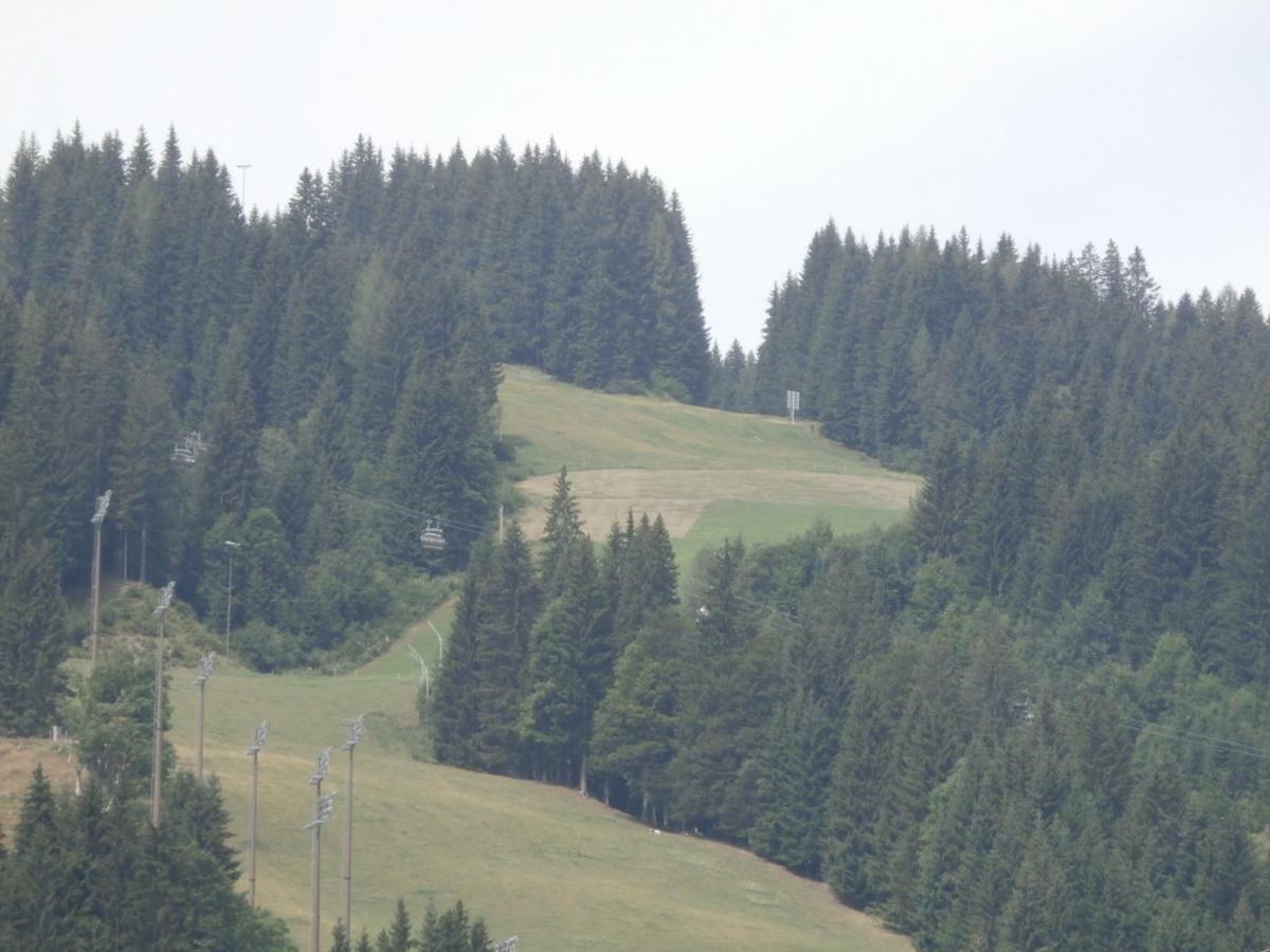 Appartements Gotthardt Flachau Exterior foto